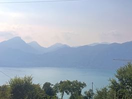 The view