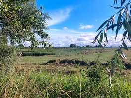 View across from the back of the campsite