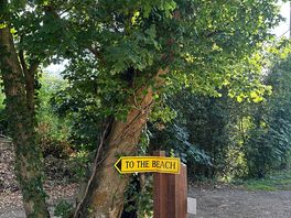 To the beach!