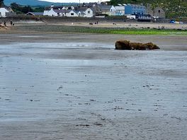 View from the beach