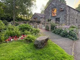 Black beck