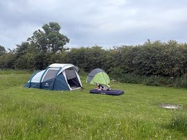 Pitched tents