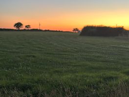 Amazing view of the sunsetting