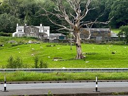 Bassenthwaite close by
