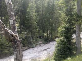 River next to our pitch