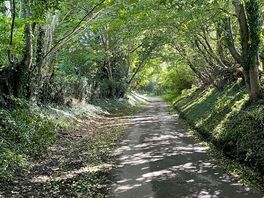 Country lane