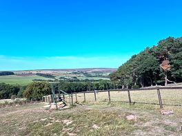 Nice views