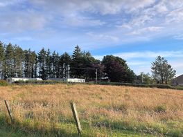 Some pitches and the secure dog field
