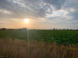Sun rise
