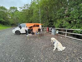 Site