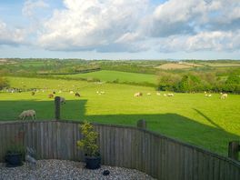 Sunny afternoon view from the patio.