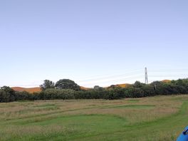 Campsite view