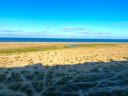 Beach view