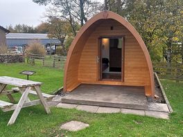 Picture of pod