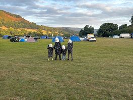 Campsite ⛺️