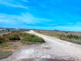 Lovely walk
