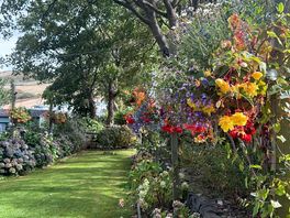 Garden area