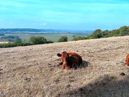 Country walks