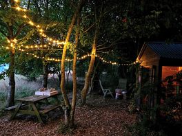 Fairy lights