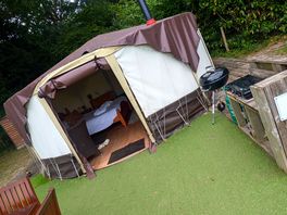 Our yurt bramble 2