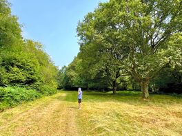 Gorgeous walks