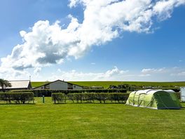 Electric grass tent pitch