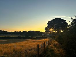 Beautiful scenery and nice to go for a walk !