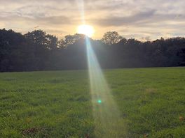 Walking in the fields in the site
