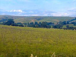 View from site