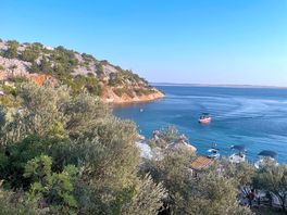Local beach