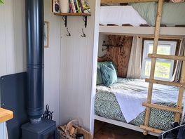 King bunk beds