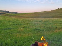 Fire pit friendly