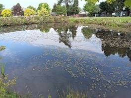 Lovely to have water on site