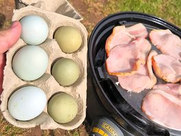 Free range eggs & bacon.