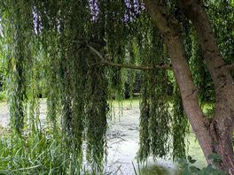 One of the lakes
