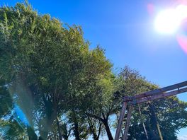 Lovely weather today at the acorns camping