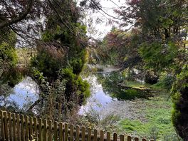 Peaceful lake on site