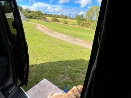 Taking in the view