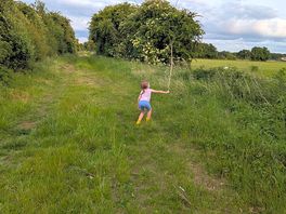 Dog walk