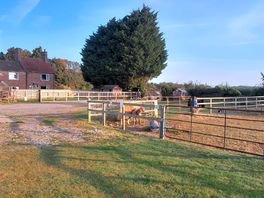 Horse, pony, chicken, cockerell, and goats.