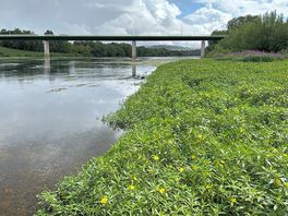 Looking towards the bridge