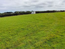Large field plenty of room