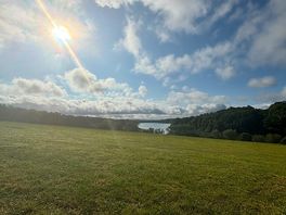 The view