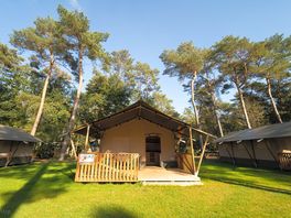 6 person safari tent exterior