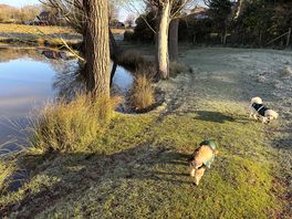 Lake off the common close to the site