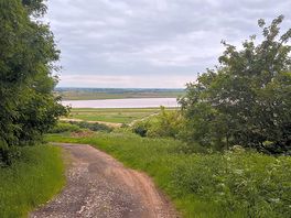 Trail 2