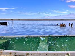 Calm water in lagoon