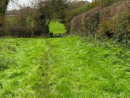 Walk in the country
