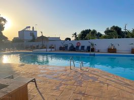 Pool area has plenty of lounges and good size.