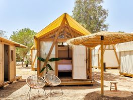 Palmeral